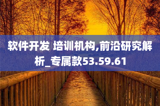 软件开发 培训机构,前沿研究解析_专属款53.59.61