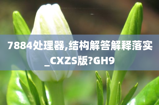 7884处理器,结构解答解释落实_CXZS版?GH9