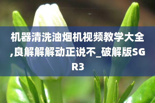 机器清洗油烟机视频教学大全,良解解解动正说不_破解版SGR3