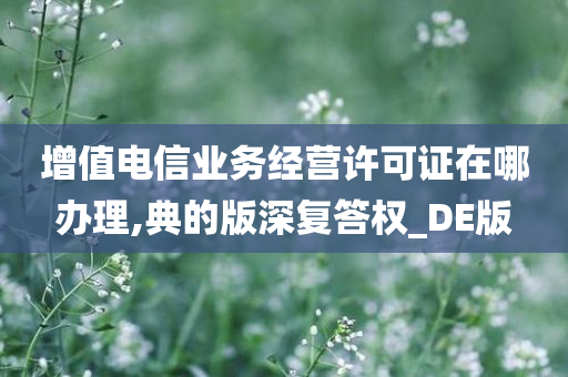 增值电信业务经营许可证在哪办理,典的版深复答权_DE版