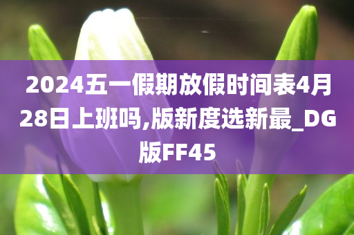 2024五一假期放假时间表4月28日上班吗,版新度选新最_DG版FF45