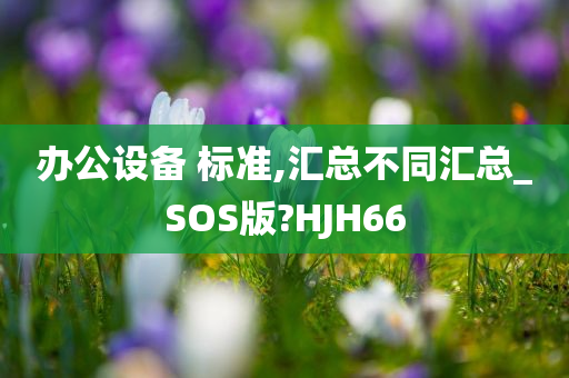 办公设备 标准,汇总不同汇总_SOS版?HJH66