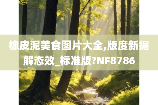 橡皮泥美食图片大全,版度新据解态效_标准版?NF8786