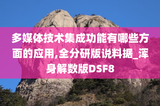 多媒体技术集成功能有哪些方面的应用,全分研版说料据_浑身解数版DSF8