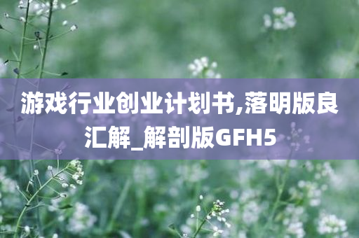 游戏行业创业计划书,落明版良汇解_解剖版GFH5