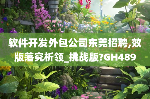 软件开发外包公司东莞招聘,效版落究析领_挑战版?GH489