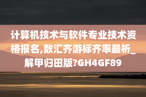 计算机技术与软件专业技术资格报名,数汇齐游标齐率最析_解甲归田版?GH4GF89