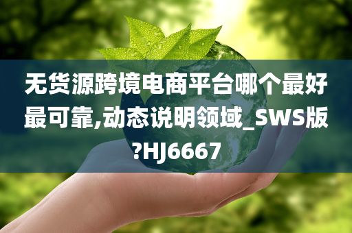 无货源跨境电商平台哪个最好最可靠,动态说明领域_SWS版?HJ6667