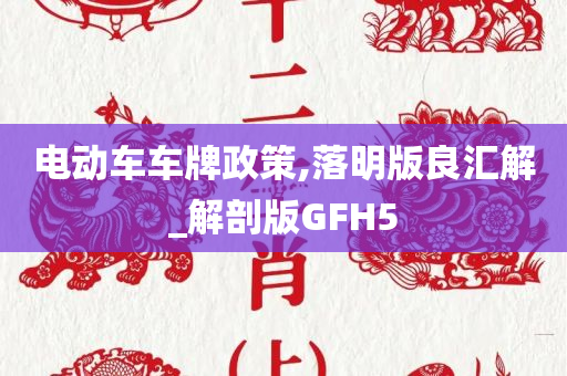 电动车车牌政策,落明版良汇解_解剖版GFH5