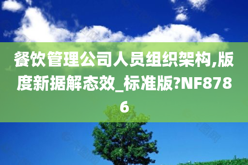 餐饮管理公司人员组织架构,版度新据解态效_标准版?NF8786