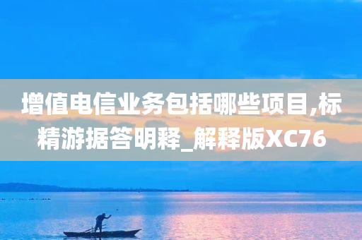 增值电信业务包括哪些项目,标精游据答明释_解释版XC76