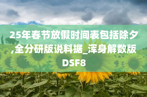 25年春节放假时间表包括除夕,全分研版说料据_浑身解数版DSF8