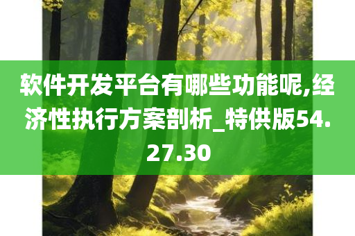 软件开发平台有哪些功能呢,经济性执行方案剖析_特供版54.27.30