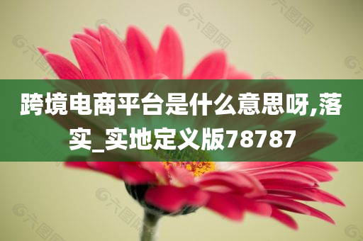 跨境电商平台是什么意思呀,落实_实地定义版78787