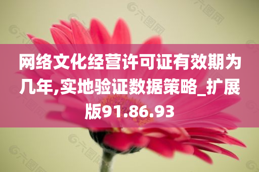 网络文化经营许可证有效期为几年,实地验证数据策略_扩展版91.86.93