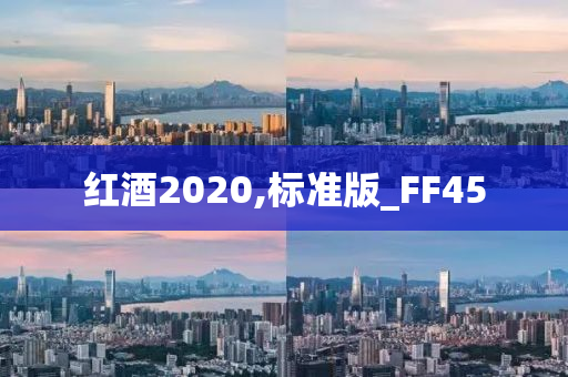 红酒2020,标准版_FF45