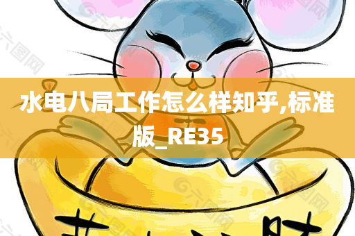 水电八局工作怎么样知乎,标准版_RE35