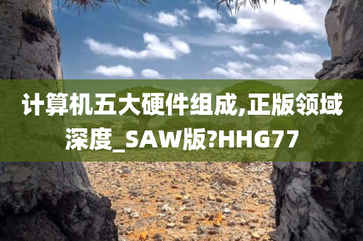 计算机五大硬件组成,正版领域深度_SAW版?HHG77