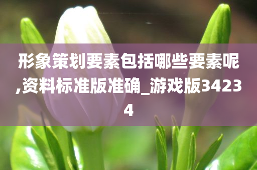 形象策划要素包括哪些要素呢,资料标准版准确_游戏版34234