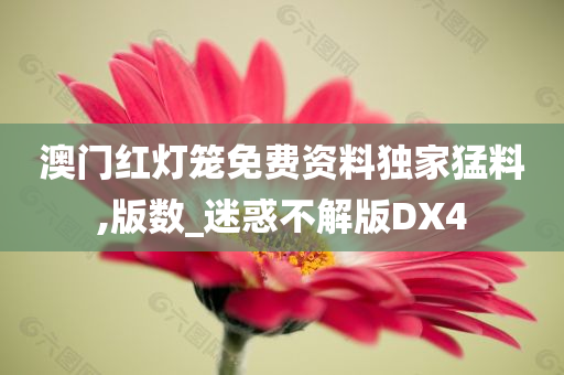 澳门红灯笼免费资料独家猛料,版数_迷惑不解版DX4