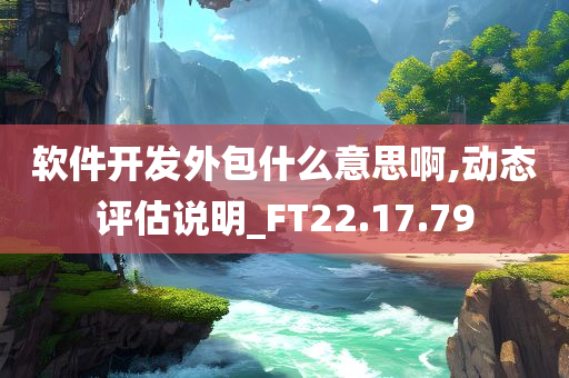 软件开发外包什么意思啊,动态评估说明_FT22.17.79