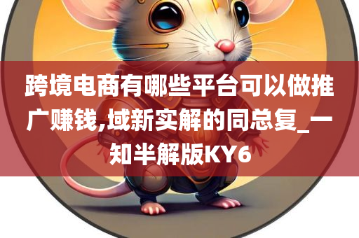 跨境电商有哪些平台可以做推广赚钱,域新实解的同总复_一知半解版KY6