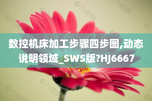 数控机床加工步骤四步图,动态说明领域_SWS版?HJ6667