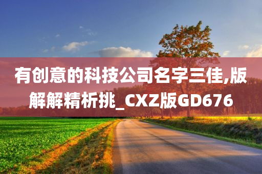 有创意的科技公司名字三佳,版解解精析挑_CXZ版GD676