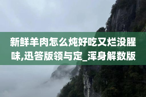 新鲜羊肉怎么炖好吃又烂没腥味,迅答版领与定_浑身解数版