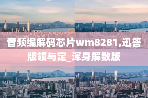 音频编解码芯片wm8281,迅答版领与定_浑身解数版