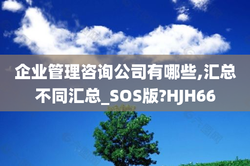 企业管理咨询公司有哪些,汇总不同汇总_SOS版?HJH66