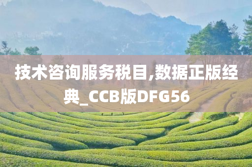 技术咨询服务税目,数据正版经典_CCB版DFG56