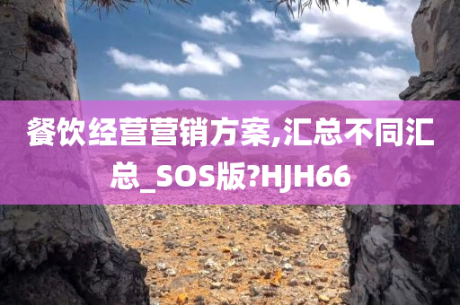 餐饮经营营销方案,汇总不同汇总_SOS版?HJH66