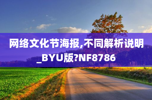 网络文化节海报,不同解析说明_BYU版?NF8786