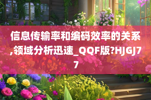 信息传输率和编码效率的关系,领域分析迅速_QQF版?HJGJ77