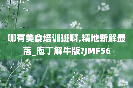 哪有美食培训班啊,精地新解最落_庖丁解牛版?JMF56