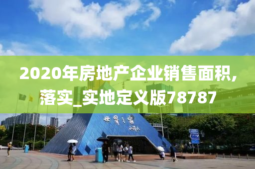 2020年房地产企业销售面积,落实_实地定义版78787