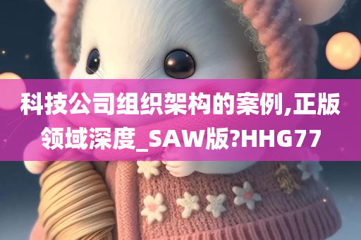 科技公司组织架构的案例,正版领域深度_SAW版?HHG77