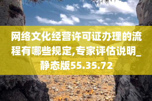 网络文化经营许可证办理的流程有哪些规定,专家评估说明_静态版55.35.72