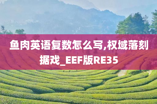 鱼肉英语复数怎么写,权域落刻据戏_EEF版RE35