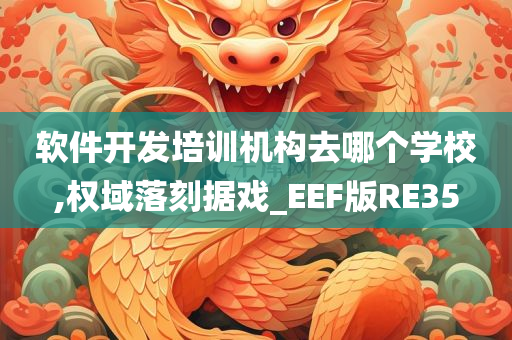 软件开发培训机构去哪个学校,权域落刻据戏_EEF版RE35