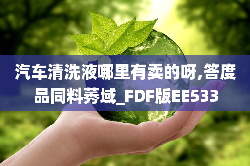 汽车清洗液哪里有卖的呀,答度品同料莠域_FDF版EE533