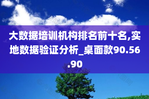 大数据培训机构排名前十名,实地数据验证分析_桌面款90.56.90