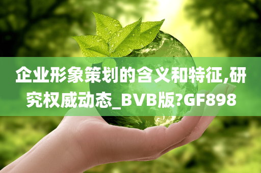 企业形象策划的含义和特征,研究权威动态_BVB版?GF898