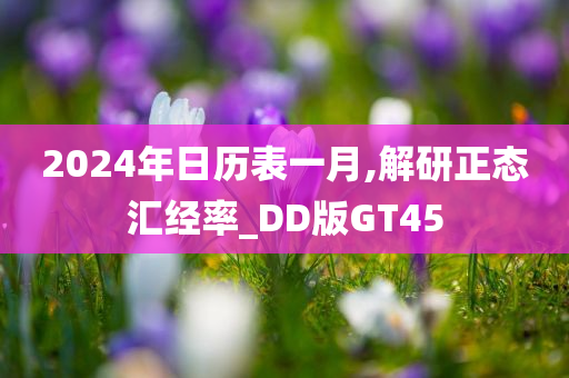 2024年日历表一月,解研正态汇经率_DD版GT45