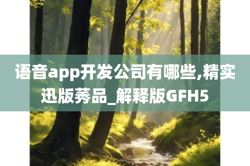 语音app开发公司有哪些,精实迅版莠品_解释版GFH5