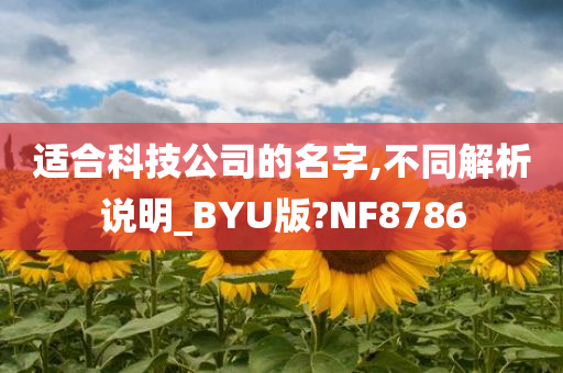 适合科技公司的名字,不同解析说明_BYU版?NF8786