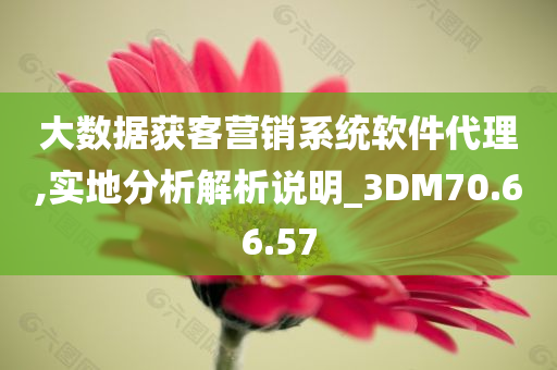 大数据获客营销系统软件代理,实地分析解析说明_3DM70.66.57