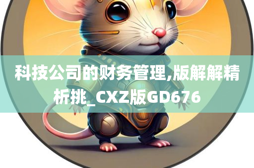 科技公司的财务管理,版解解精析挑_CXZ版GD676