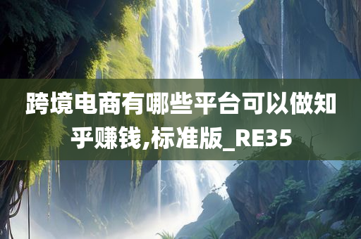 跨境电商有哪些平台可以做知乎赚钱,标准版_RE35